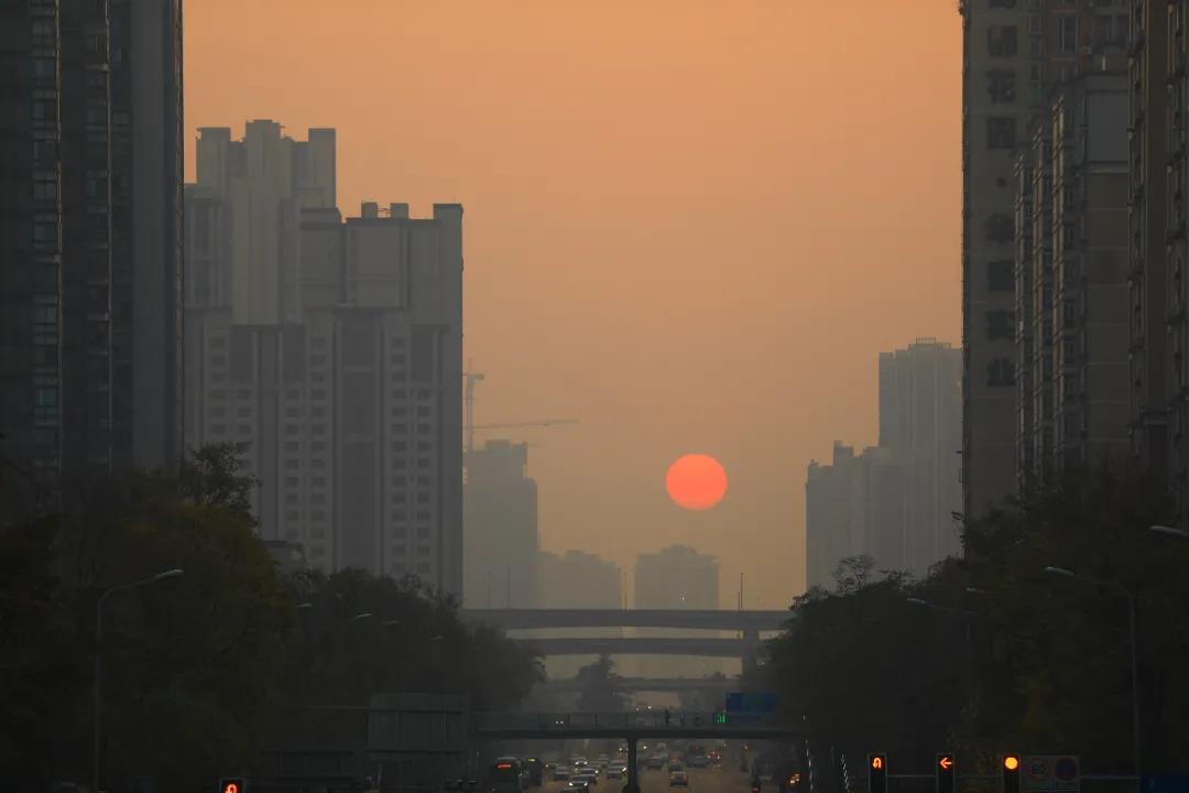 重磅！今后我省這些專業(yè)擬在一本招生